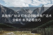 高效推广秘诀 打电话小程序推广话术全解析 新手必看技巧
