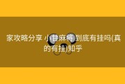  家攻略分享 小甘麻将 到底有挂吗(真的有挂)知乎