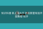  知识科普 新人海大厅 到底那里有挂开挂教程-知乎
