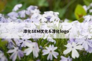淳化SEM优化&amp;淳化logo