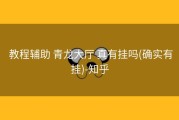  教程辅助 青龙大厅 真有挂吗(确实有挂)-知乎