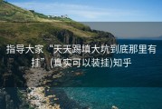指导大家“天天踢填大坑到底那里有挂”(真实可以装挂)知乎