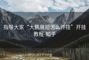 指导大家“大鹏展翅怎么开挂”开挂教程-知乎