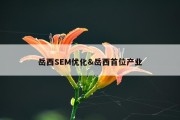 岳西SEM优化&amp;岳西首位产业