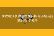  家攻略分享 微乐家乡麻将 是不是有挂(真的有挂)知乎