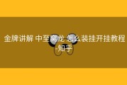  金牌讲解 中至窝龙 怎么装挂开挂教程-知乎