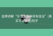 金牌讲解“乐乐上海麻将有挂没”(真实可以装挂)知乎