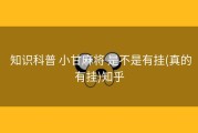  知识科普 小甘麻将 是不是有挂(真的有挂)知乎
