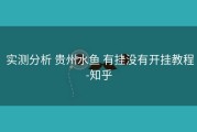  实测分析 贵州水鱼 有挂没有开挂教程-知乎