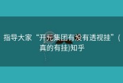 指导大家“开元集团有没有透视挂”(真的有挂)知乎