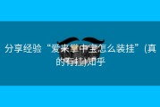 分享经验“爱来掌中宝怎么装挂”(真的有挂)知乎