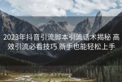 2023年抖音引流脚本引流话术揭秘 高效引流必看技巧 新手也能轻松上手