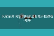  玩家亲测 闲乐 到底那里有挂开挂教程-知乎