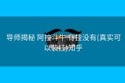  导师揭秘 阿拉斗牛 有挂没有(真实可以装挂)知乎