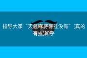 指导大家“天涯麻将有挂没有”(真的有挂)知乎