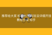  推荐给大家 松鼠大厅 有挂没详细开挂教程分享 知乎