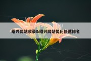 绍兴网站收录&amp;绍兴网站优化快速排名