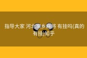  指导大家 河北家乡麻将 有挂吗(真的有挂)知乎