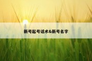 新号起号话术&amp;新号名字