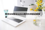 柳河SEM优化&amp;2021柳河大项目进展情况