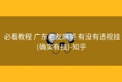  必看教程 广东老友麻将 有没有透视挂(确实有挂)-知乎