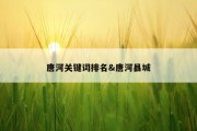 唐河关键词排名&amp;唐河县城