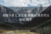  指导大家 汇友王者 有挂没(真实可以装挂)知乎