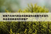 销售汽车技巧和话术经典语句&amp;销售汽车技巧和话术经典语句不同客户
