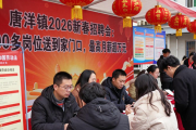 唐洋镇2026新春招聘会：290多岗位送到家门口，最高月薪超万元