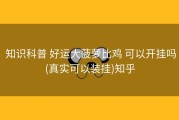 知识科普 好运大菠萝比鸡 可以开挂吗(真实可以装挂)知乎