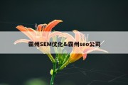霸州SEM优化&amp;霸州seo公司