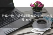  分享一款 白金岛湘潭 有没有挂开挂教程-知乎