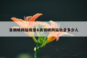 青铜峡网站收录&amp;青铜峡网站收录多少人