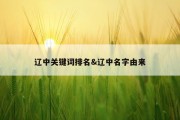 辽中关键词排名&amp;辽中名字由来