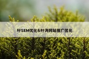 叶SEM优化&amp;叶涛网站推广优化