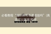 必看教程“蛮籽麻将有透视挂吗”(真实可以装挂)知乎