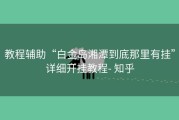 教程辅助“白金岛湘潭到底那里有挂”详细开挂教程- 知乎