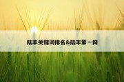 陆丰关键词排名&amp;陆丰第一网