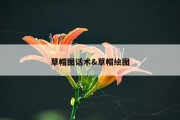 草帽图话术&amp;草帽绘图