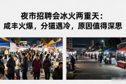 夜市招聘会冰火两重天：咸丰火爆，分宜遇冷，原因值得深思