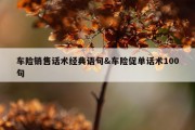 车险销售话术经典语句&amp;车险促单话术100句