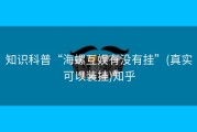 知识科普“海螺互娱有没有挂”(真实可以装挂)知乎