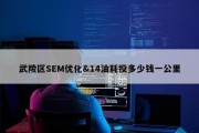 武陵区SEM优化&amp;14油耗投多少钱一公里
