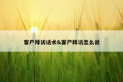 客户拜访话术&amp;客户拜访怎么说