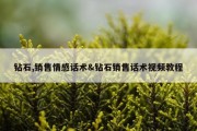钻石,销售情感话术&amp;钻石销售话术视频教程