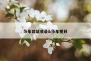 莎车网站收录&amp;莎车视频