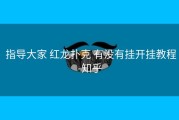  指导大家 红龙扑克 有没有挂开挂教程-知乎