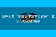 指导大家“灵尊大厅是不是有挂”(真实可以装挂)知乎