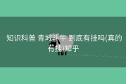  知识科普 青城斗牛 到底有挂吗(真的有挂)知乎