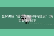 金牌讲解“趣玩贵州麻将有挂没”(确实有挂)-知乎